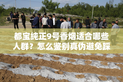 都宝纯正9号香烟适合哪些人群？怎么鉴别真伪避免踩坑？